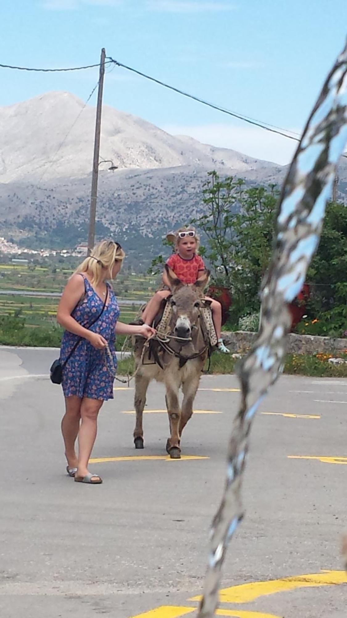 Dionysus Lasithi Plateau Hotel Magoulas Bagian luar foto